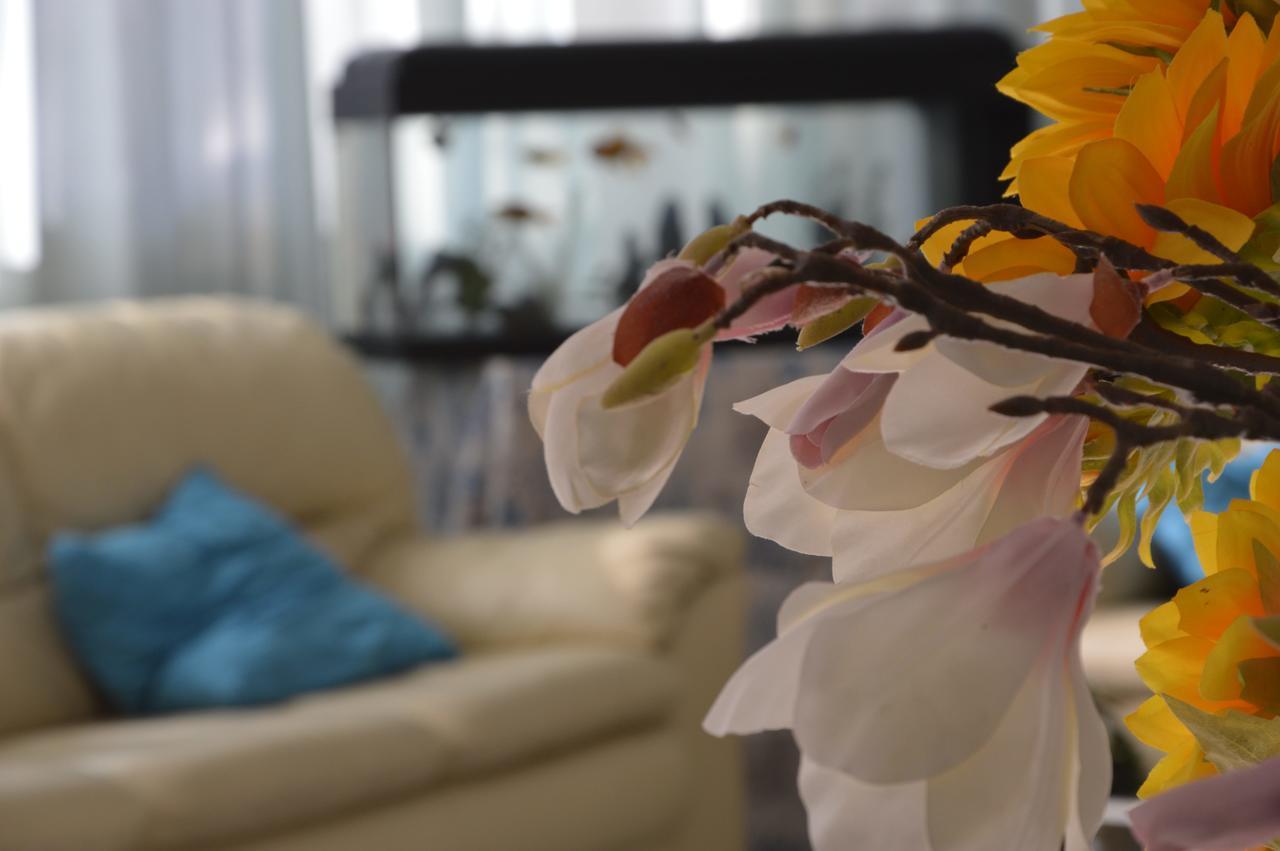 Hotel Fucsia Riccione Zewnętrze zdjęcie